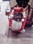 200912161815000.jpg