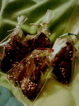 201002150228000.jpg