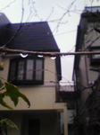 201003061431000.jpg
