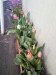201003301648000.jpg