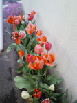 201004101714000.jpg