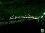 201102171906000.jpg