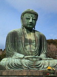 NEC_0536.jpg