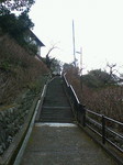 NEC_0544.jpg