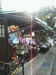 NEC_0553.jpg