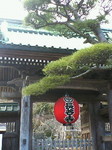 NEC_0554.jpg