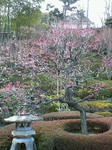NEC_0556.jpg