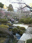 NEC_0558.jpg