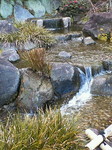 NEC_0559.jpg