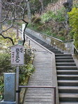 NEC_0573.jpg