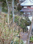 NEC_0578.jpg