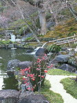 NEC_0584.jpg