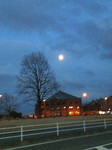 NEC_0600.jpg