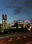 NEC_0603.jpg