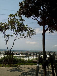 20070530142916.jpg