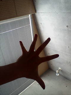 20070805143355.jpg