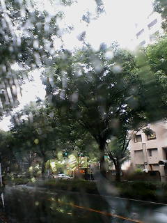 20070831114554.jpg