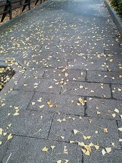 20071101151814.jpg