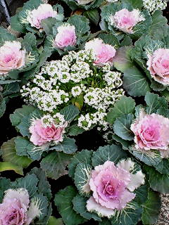 20071127124624.jpg