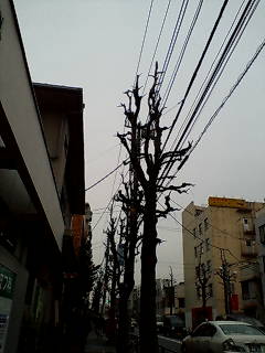 20071130142625.jpg