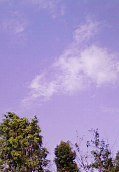 200801031449000.jpg