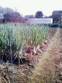 200801161401000.jpg