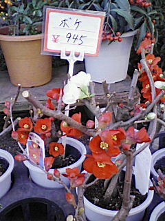 200801161430000.jpg