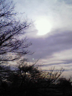 200801191416000.jpg