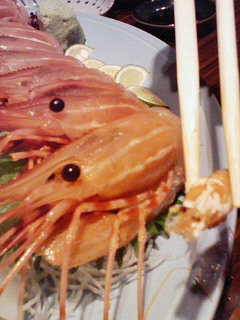 200801201905000.jpg