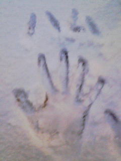 200801212132000.jpg