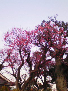 200802041620001.jpg