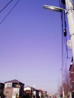 200802071230000.jpg