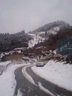 080121_1213~0001.jpg