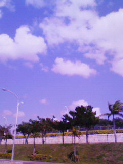 200803051402000.jpg