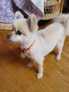 200803052021000.jpg