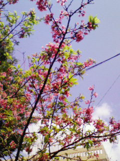 200803051437000.jpg