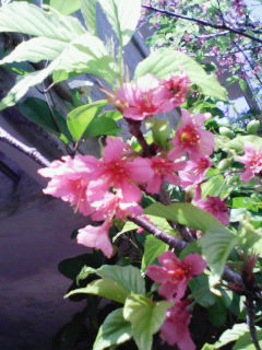 200803051438000.jpg