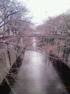 200803191318000.jpg