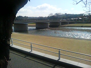20080321133716.jpg