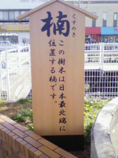 200803211457001.jpg