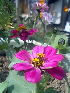 image008.jpg
