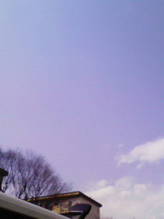 200803281335000.jpg