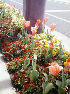 200804011143000.jpg