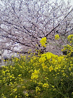 200804021127000.jpg