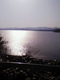 200804061606000.jpg
