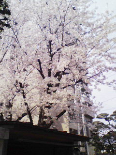 200804051003000.jpg