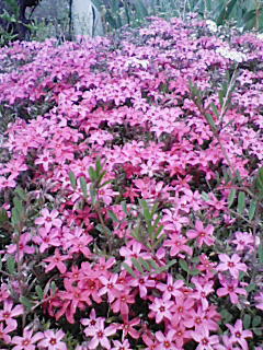 200804051228000.jpg