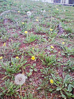 200804111640000.jpg