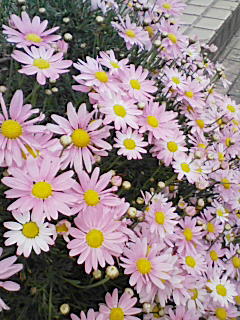 200804161311000.jpg