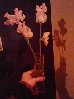 200804182230000.jpg